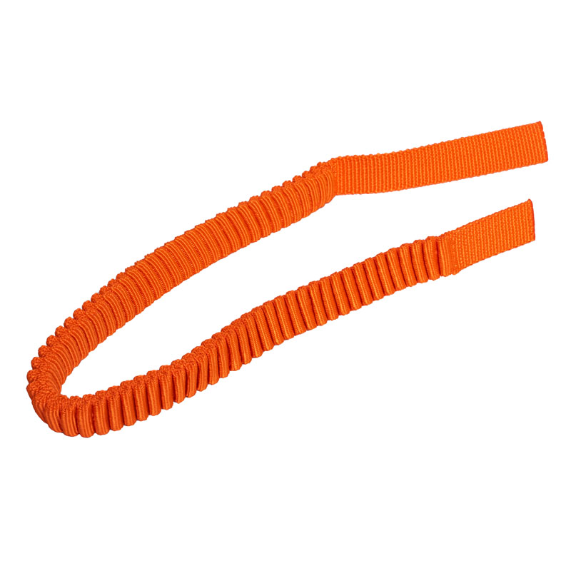 Зошто еластичното полиестер за кучиња е еластична полиестерска веб -страница совршен избор за модерни додатоци за домашни миленици?